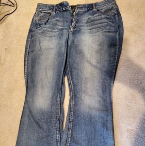 Lane Bryant jeans
